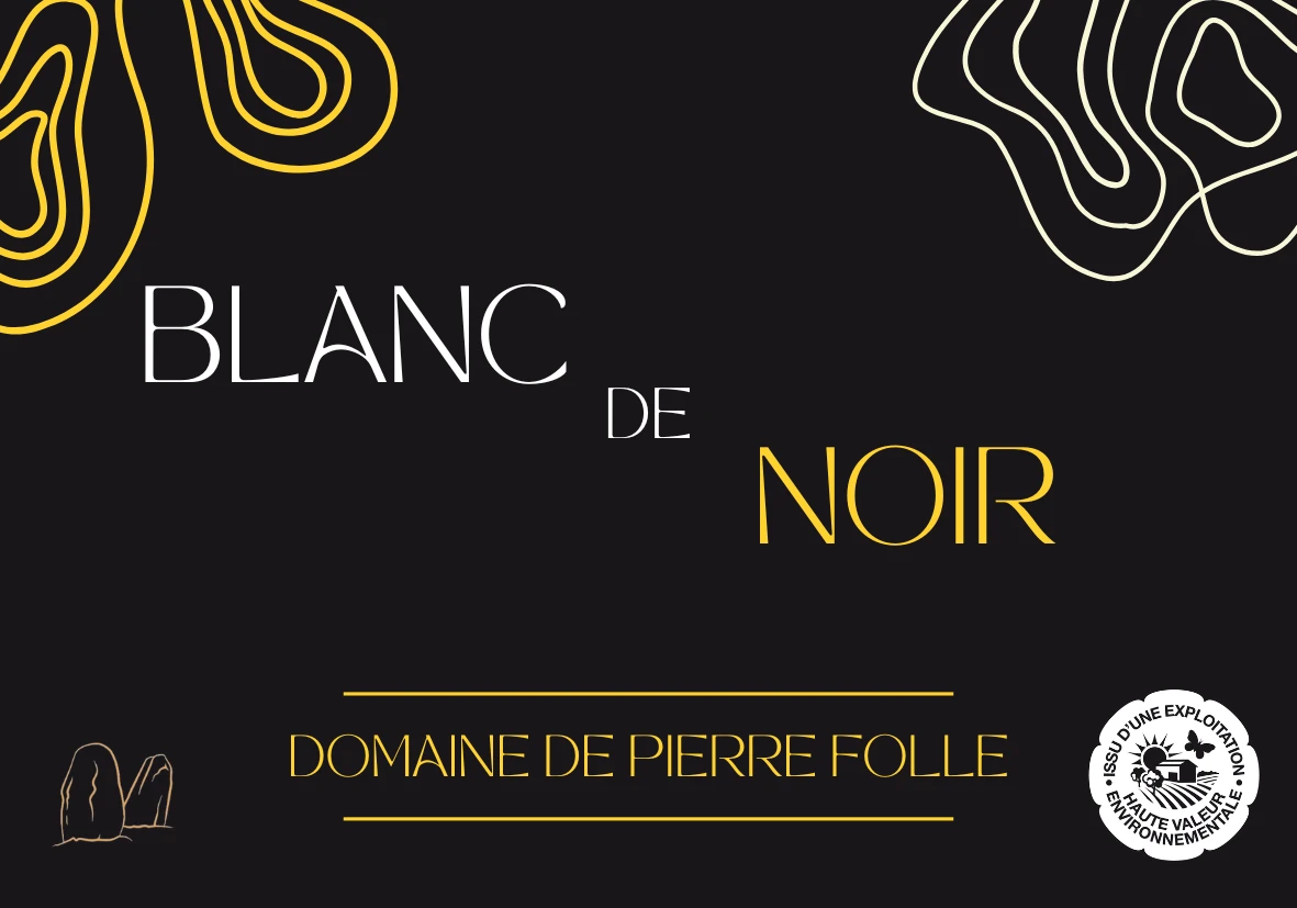 Blanc de noir 6 bouteilles (igp)