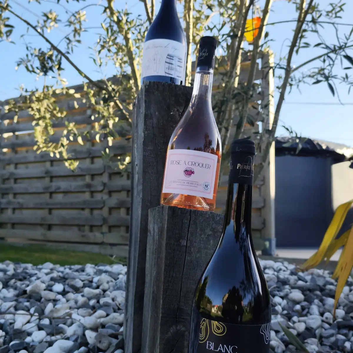 La cuvée de pépé 6 bouteilles (igp)